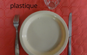 670eb08e9465c_Assietteplastique.png